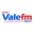 radiovalefm.net.br