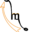 h