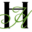 h