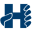 h