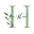 h