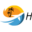 h
