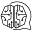 h