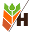 h