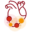 h