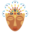 h