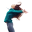 h