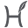 h