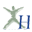 h