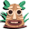 h