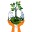 h