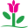 h