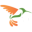 h