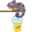 h