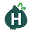 h
