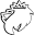 h