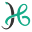 h