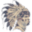 h