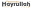 h