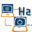 h