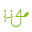 h