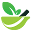h