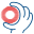 h