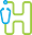 h