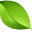 healthua.info