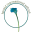 h