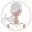 h