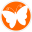 hashimoto-info.de
