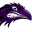 ravensathletics.com