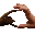 h