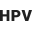 hpv.pt