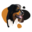h