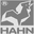 hahn-trafo.com