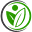 highly-healthy.net