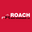 roachhomeimprovement.com