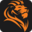 ROAR Internet Marketing favicon