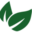 hollandoutdoorplants.com