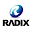 radix.ad.jp