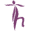 h