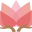 rouleauvisage.com