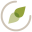 HealthAdvisor favicon