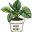 houseplantport.com