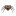 huntsmanspidergame.com