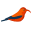 hawaiibirdguide.com