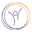 healthylifestylers.com