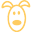 101dogbreeds.com
